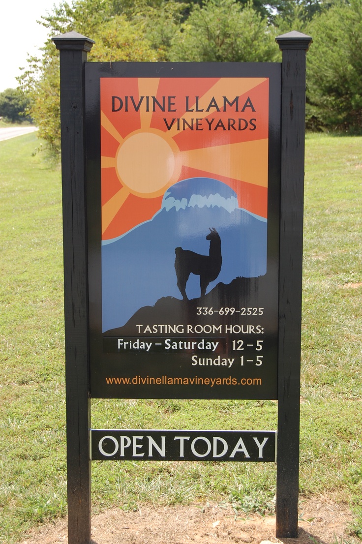 Divine Llama Vineyards East Bend NC